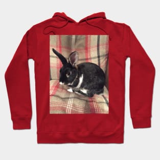 Tartan Easter Baby Bunny Rabbit Hoodie